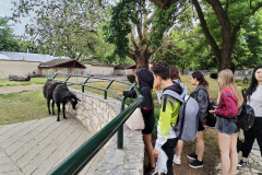 IMG_20250527_104804